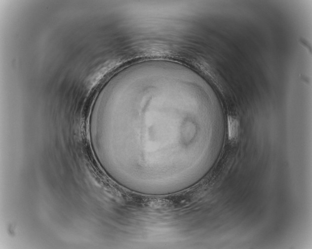 X0000101190579200807071317
