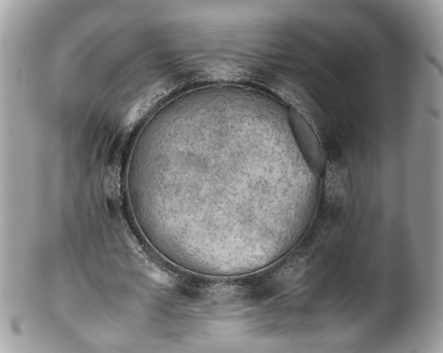 X0000101190581200807071317