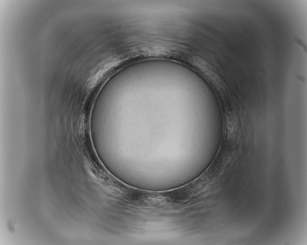X0000101190583200807071317