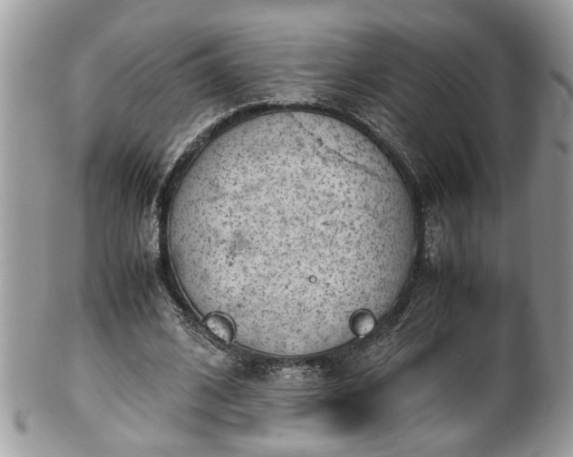 X0000101190584200807071317