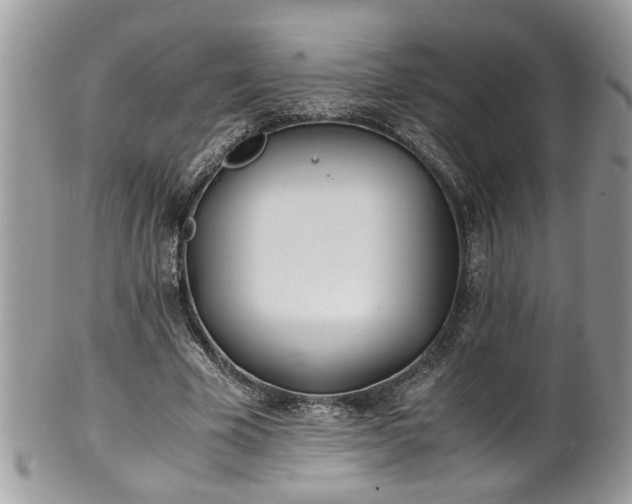 X0000101190585200807071317