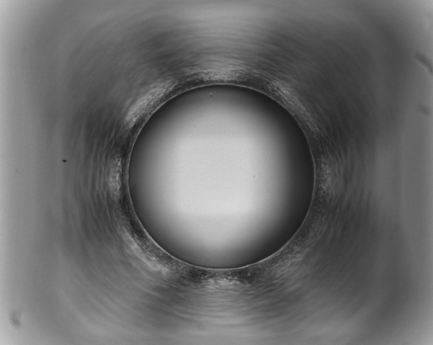 X0000101190586200807071317