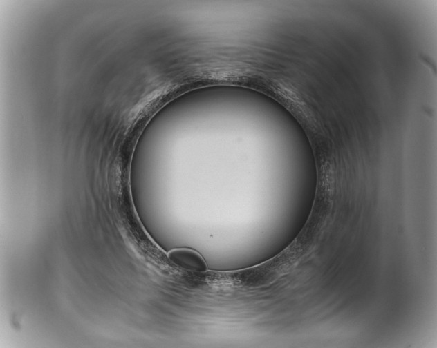 X0000101190587200807071317