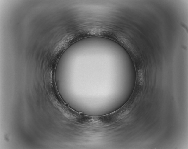 X0000101190589200807071317