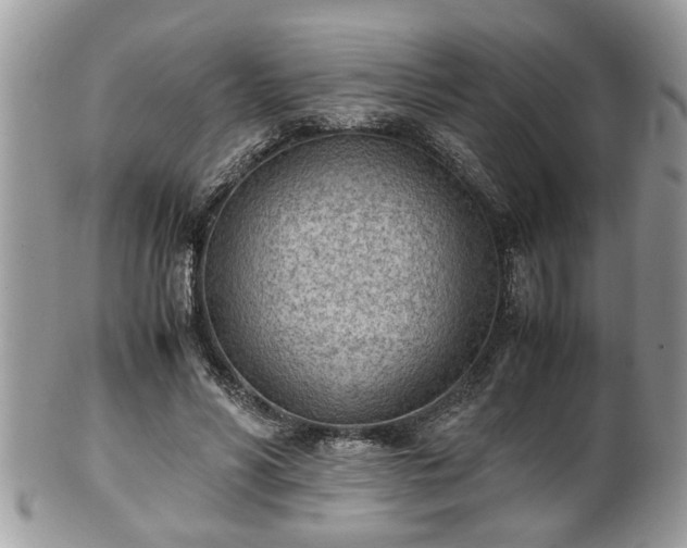 X0000101190590200807071317