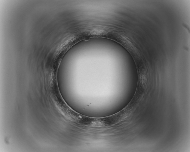 X0000101190591200807071317