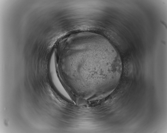 X0000101190592200807071317