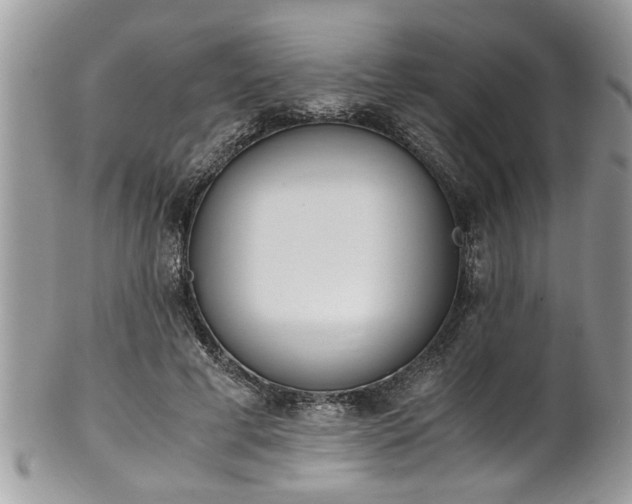 X0000101190593200807071317