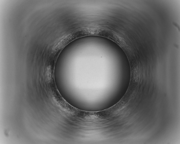 X0000101190594200807071317