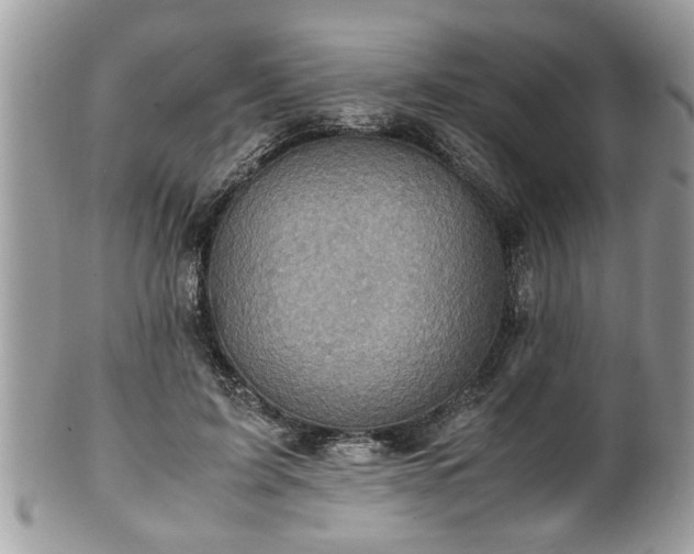 X0000101190595200807071317