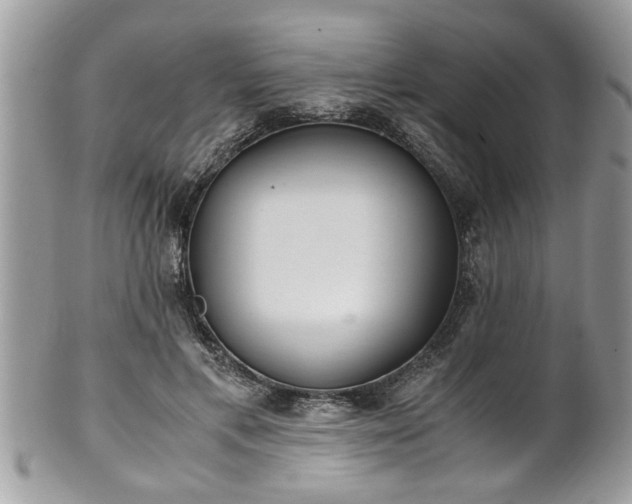 X0000101190597200807071317