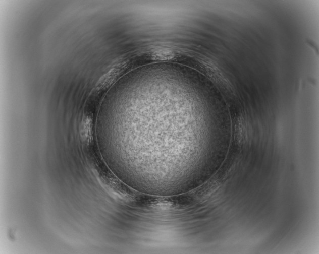X0000101190598200807071317