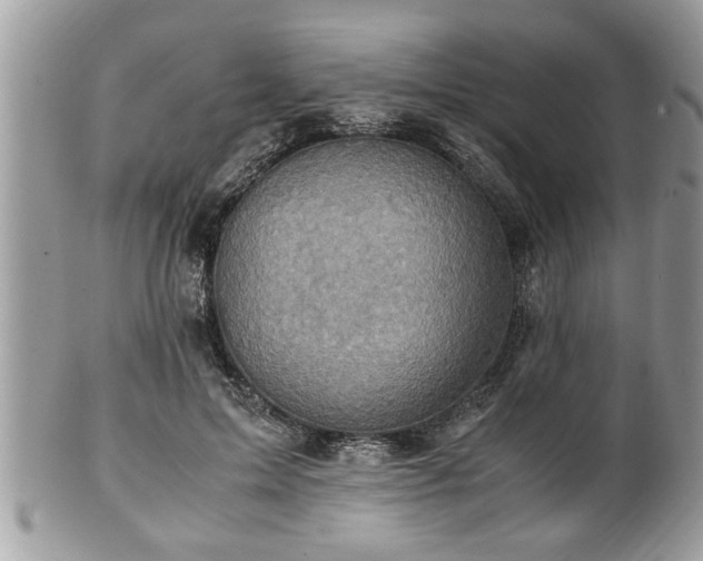 X0000101190599200807071317