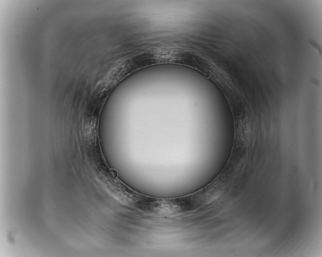 X0000101190601200807071317