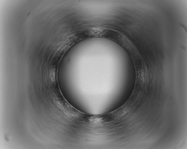 X0000101190602200807071317