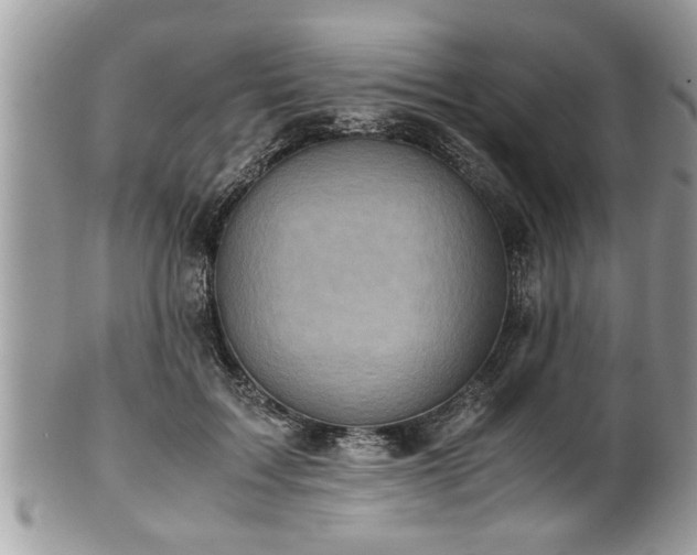 X0000101190603200807071317