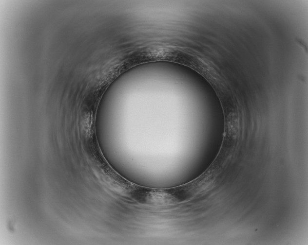 X0000101190605200807071317
