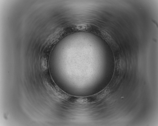 X0000101190606200807071316