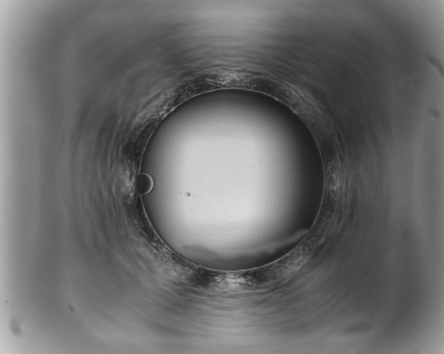 X0000101190607200807071316