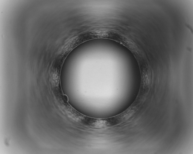 X0000101190609200807071316