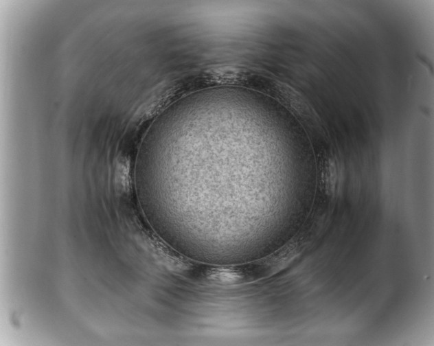 X0000101190610200807071316