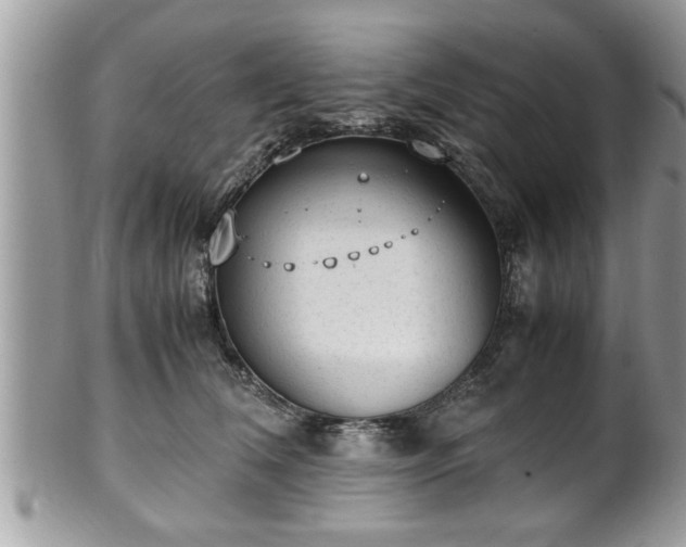 X0000101190612200807071316