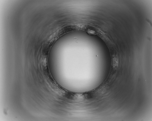 X0000101190613200807071316