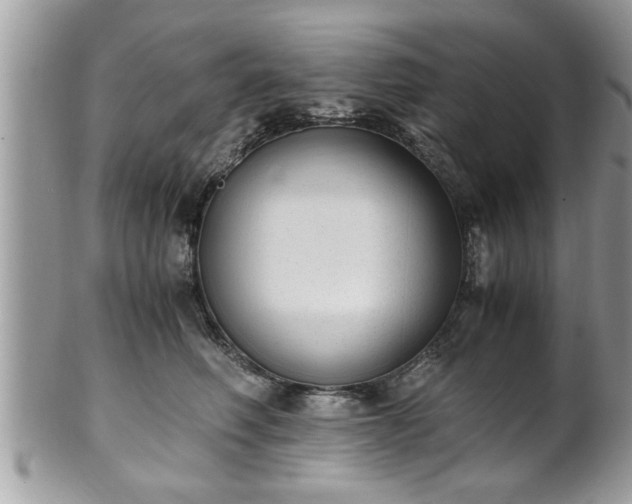 X0000101190614200807071316
