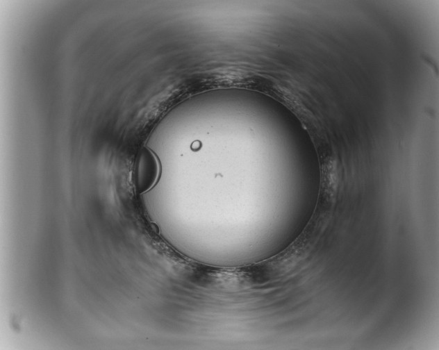 X0000101190615200807071316