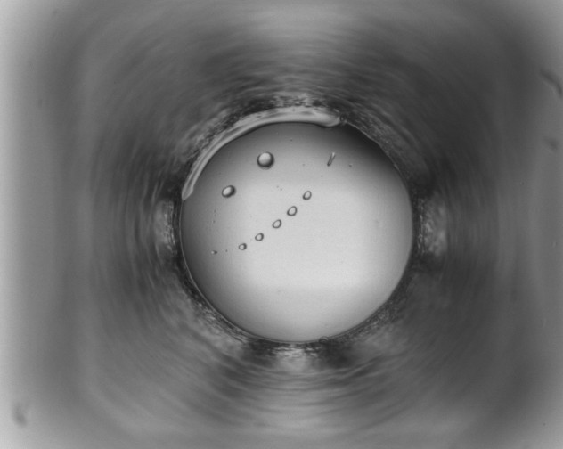X0000101190616200807071316
