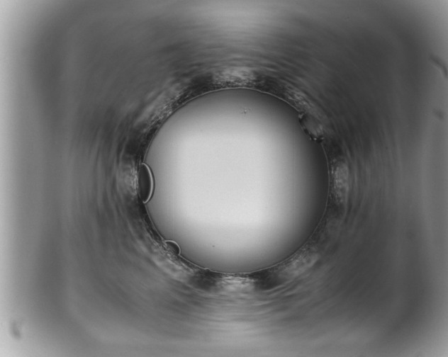 X0000101190617200807071316