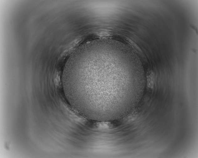 X0000101190618200807071316