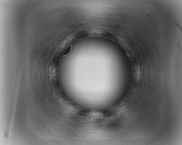 X0000101190619200807071316