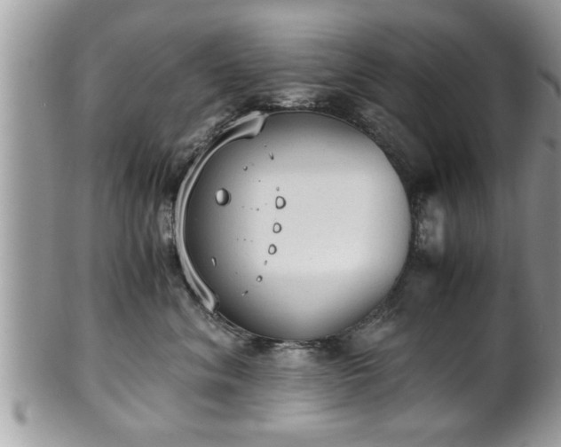 X0000101190620200807071316
