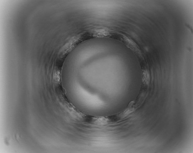 X0000101190621200807071316