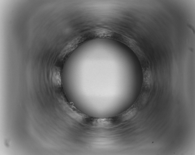 X0000101190622200807071316