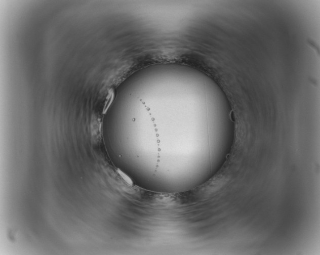 X0000101190624200807071316