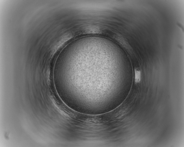 X0000101190627200807071315