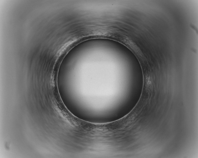 X0000101190628200807071315