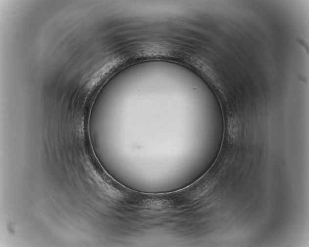 X0000101190629200807071315