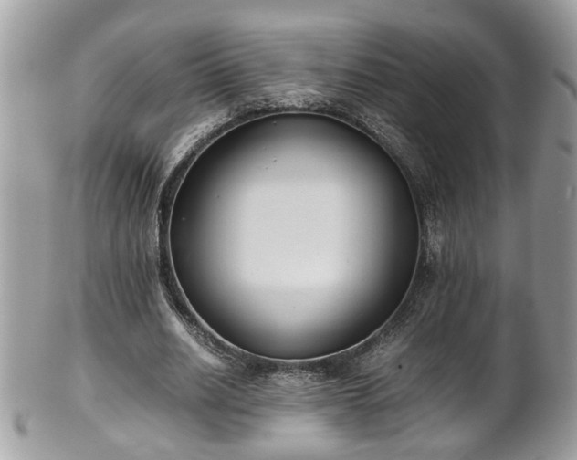 X0000101190630200807071315