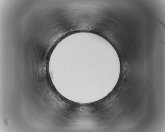 X0000101190632200807071315