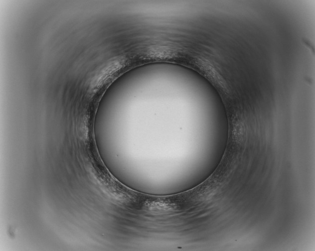 X0000101190635200807071316