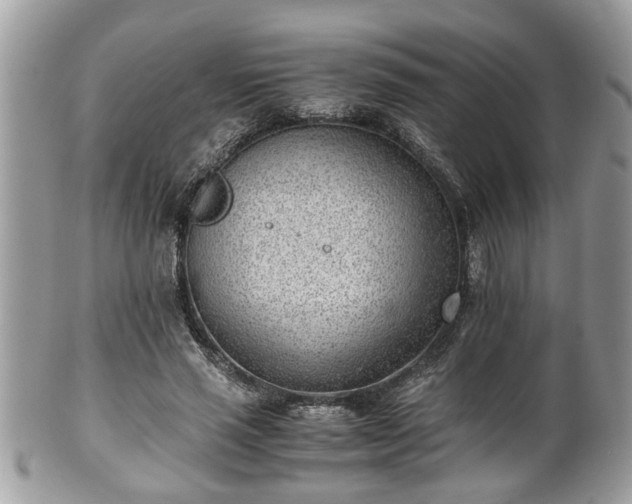 X0000101190637200807071316