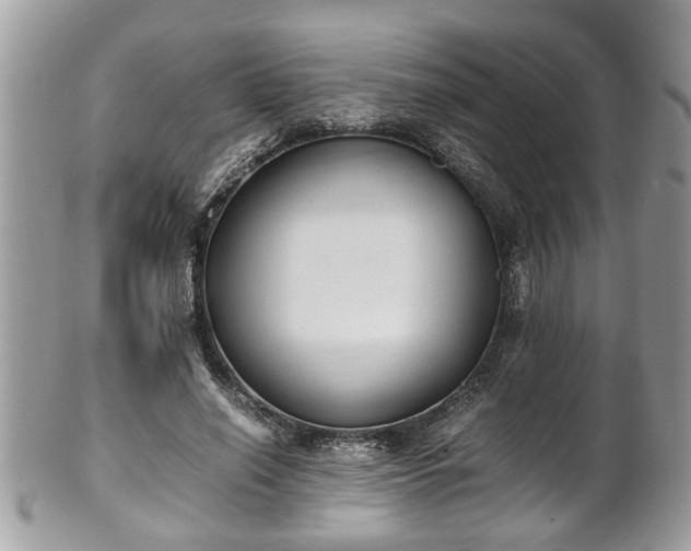 X0000101190638200807071316