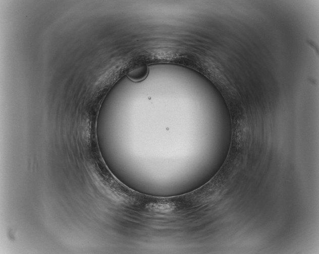 X0000101190639200807071316