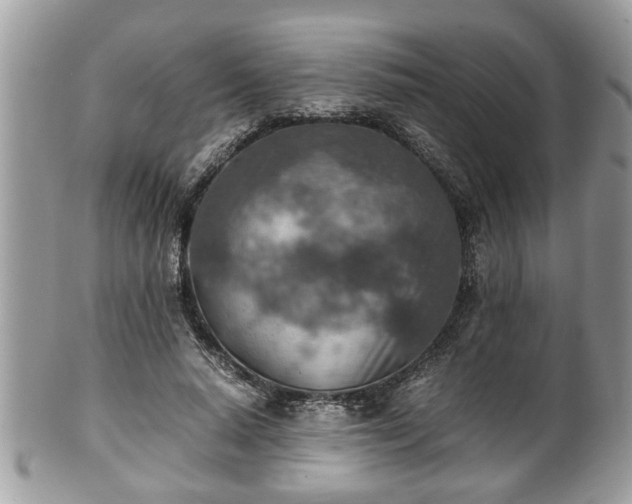 X0000101190640200807071316
