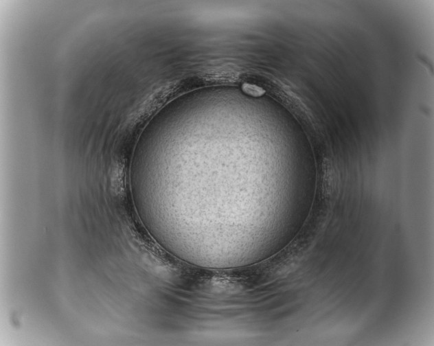 X0000101190641200807071316