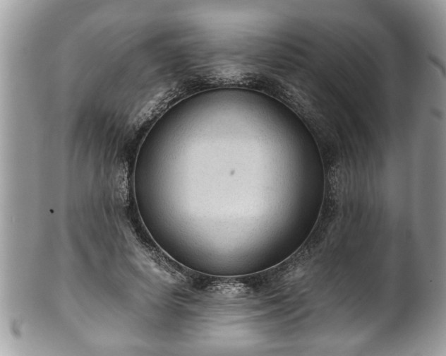 X0000101190642200807071316