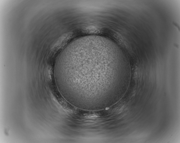 X0000101190643200807071316